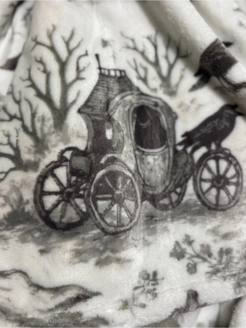 RACHEL Rachel Roy Black & White Halloween Ghost Toile Plush Throw